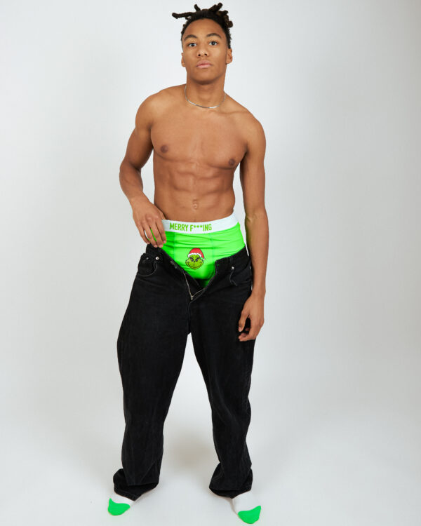 Grinch Boxer - immagine 2